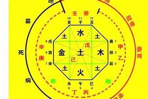 喜用神木職業|八字喜用神为木的人特点 喜用神为木的人适合做什么工作